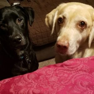 Meet your Posher, Denise